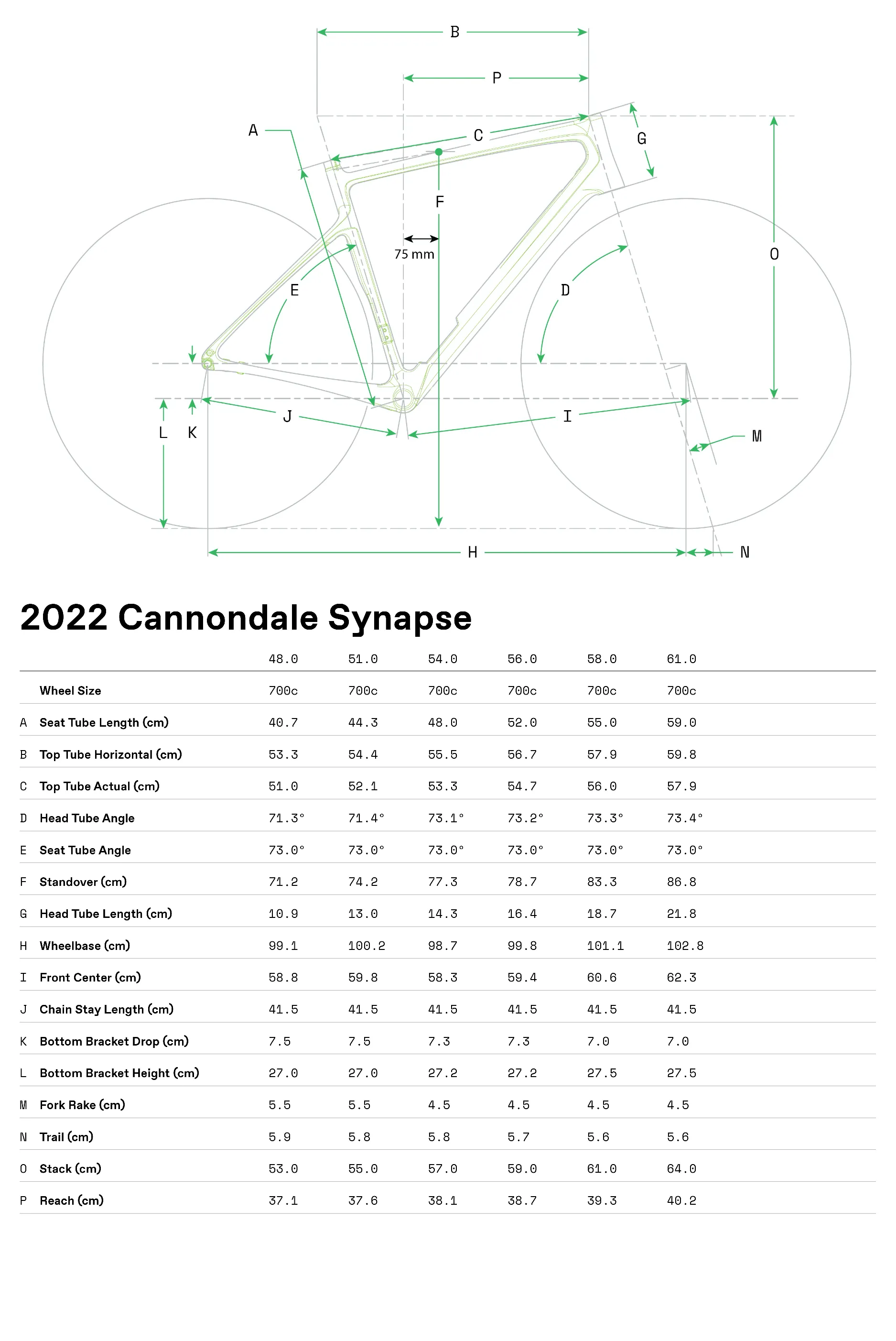 Cannondale Synapse Carbon 2 RL Road Bike - Beatle Green