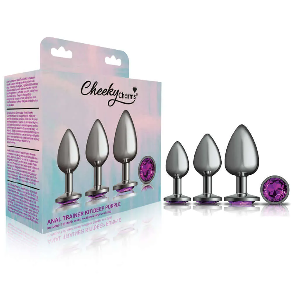Cheeky Charms - Metal Butt Plug Gunmetal - Round - Deep Purple - Kit - Preorder Only