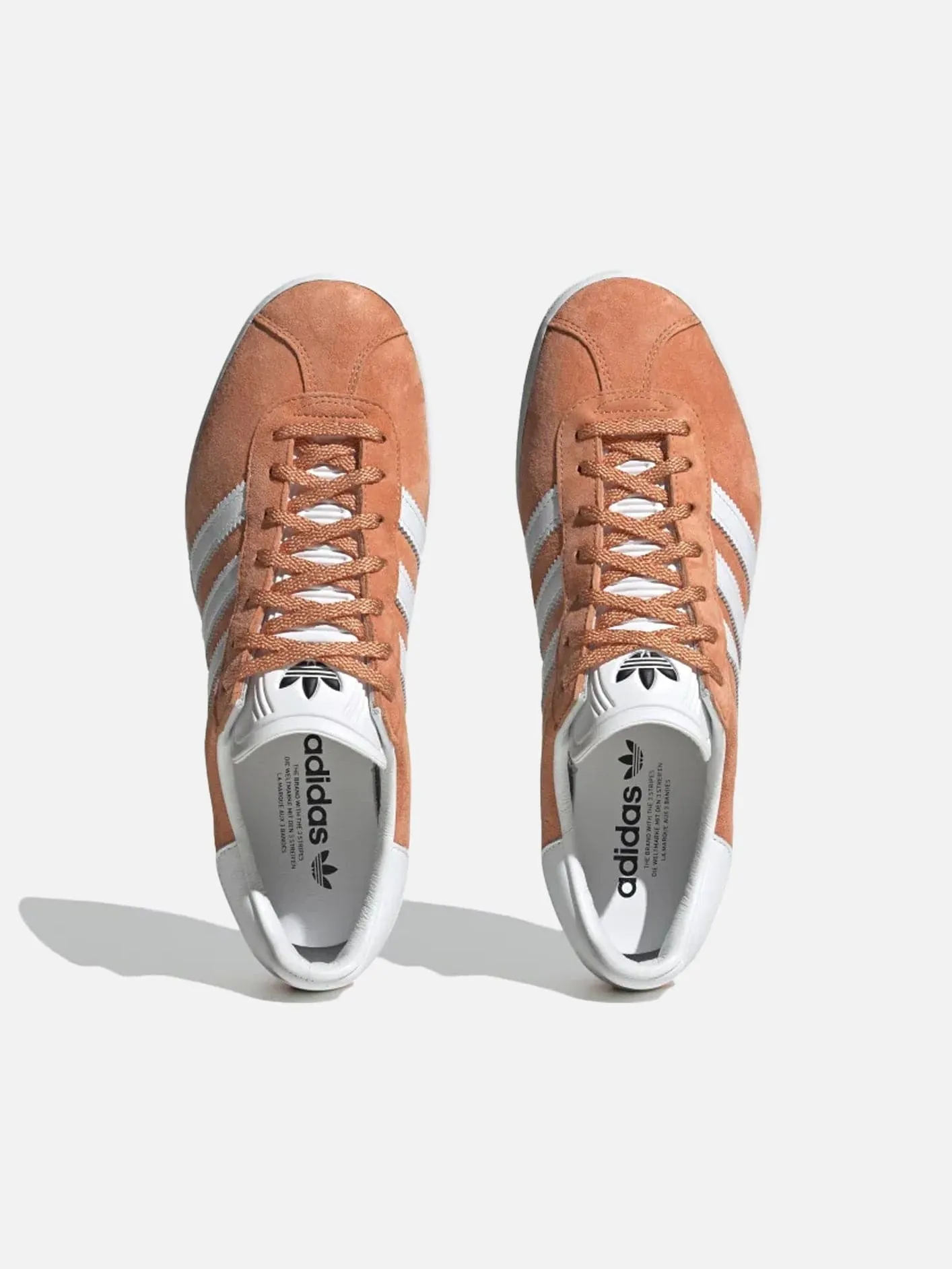 Gazelle 85