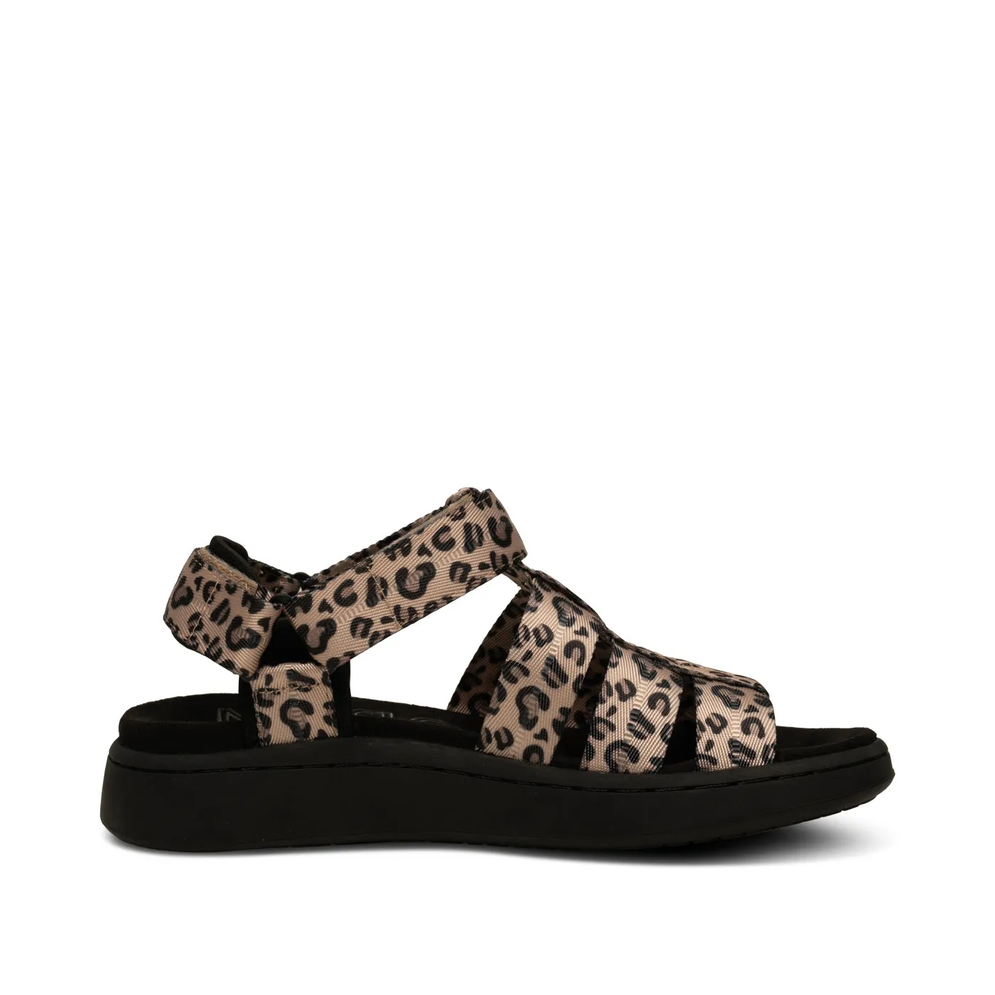 Line Fisherman - Leopard