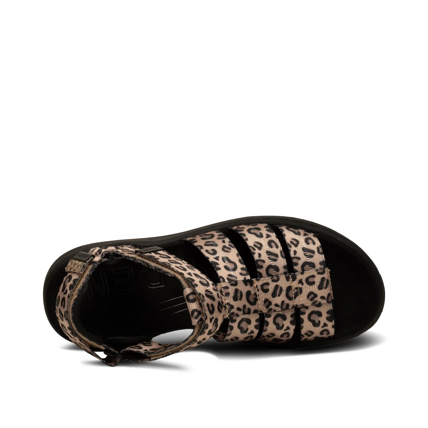 Line Fisherman - Leopard