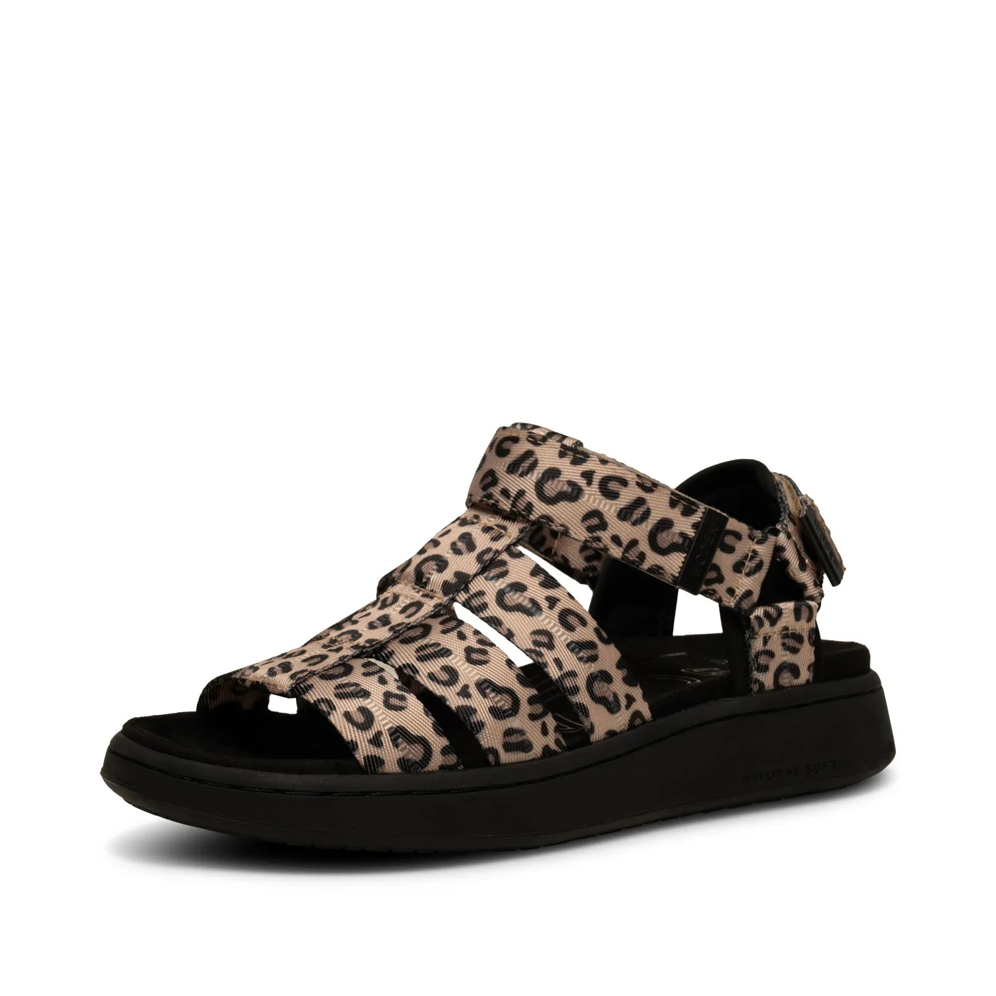Line Fisherman - Leopard