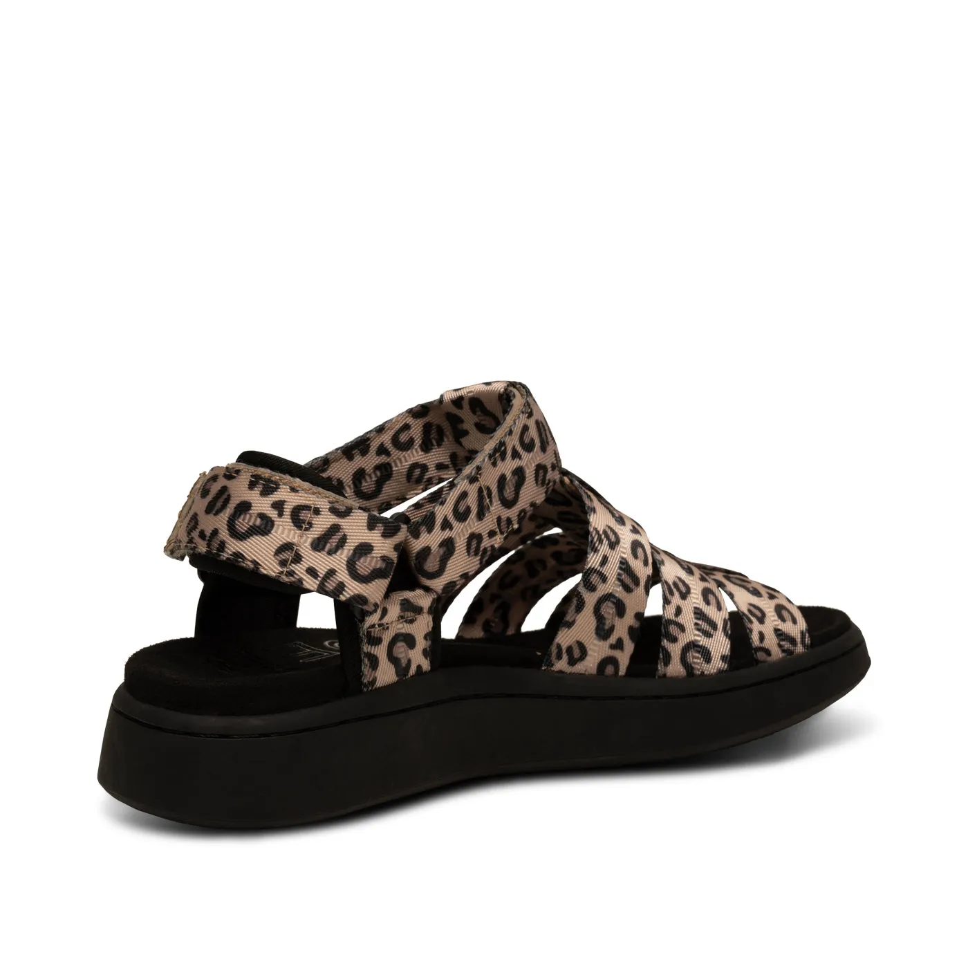 Line Fisherman - Leopard