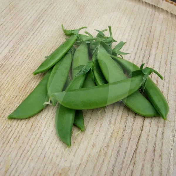 Pea Sugar Snap Delikett Seeds (AGM)
