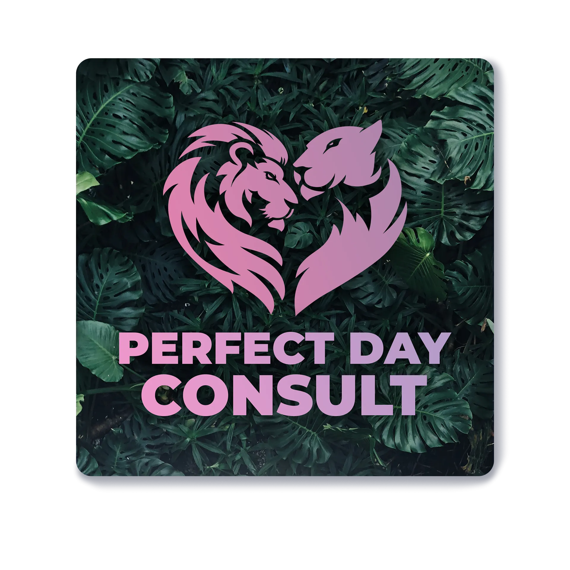 Perfect Day Consultation