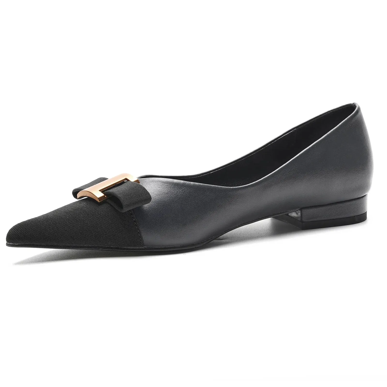 Pointed Toe Metal Tie Flats (Aida)（SALE）