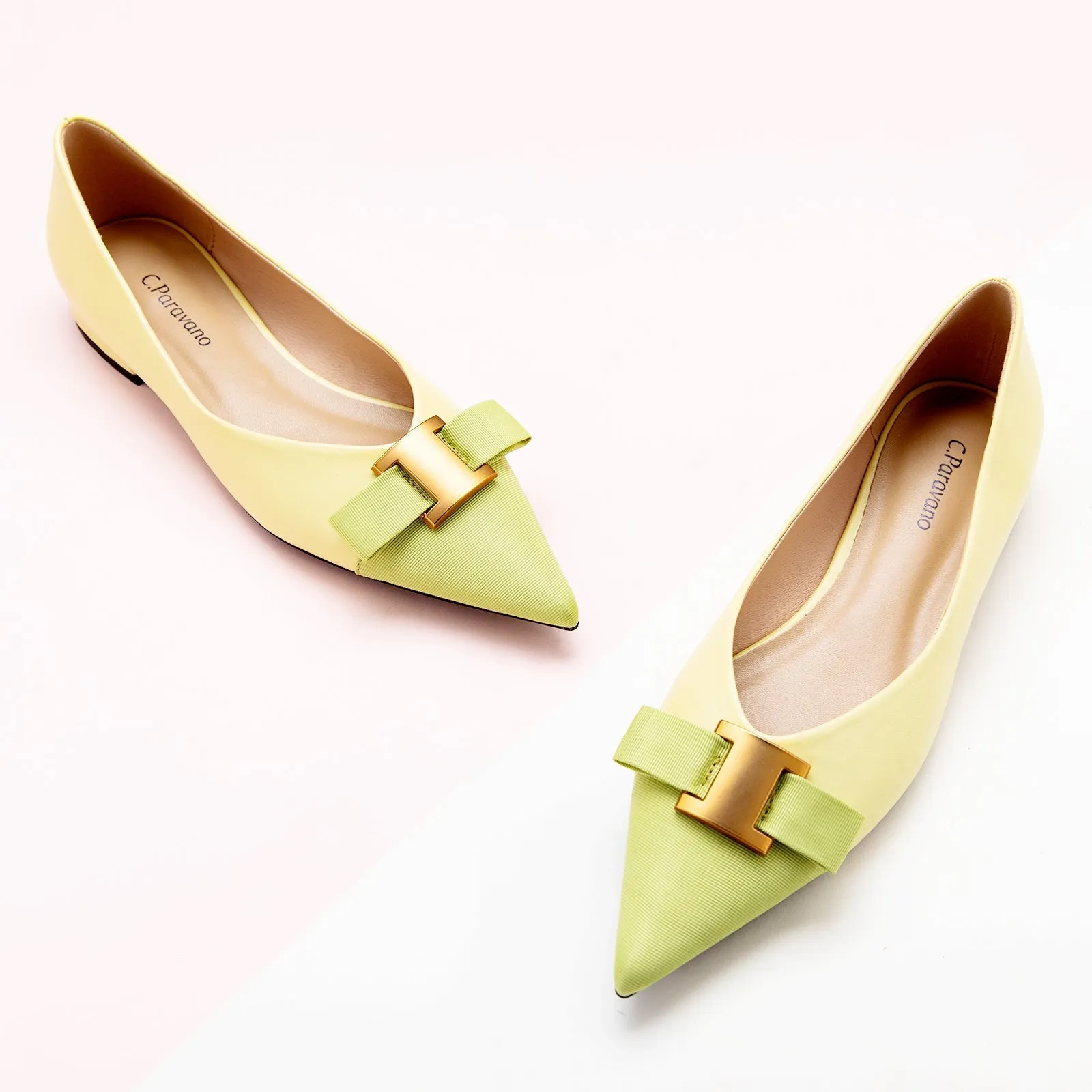 Pointed Toe Metal Tie Flats (Aida)（SALE）