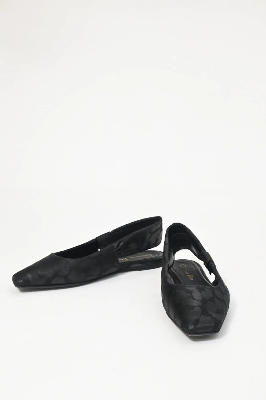 [WS8038] Christian Dior | Ballerina's