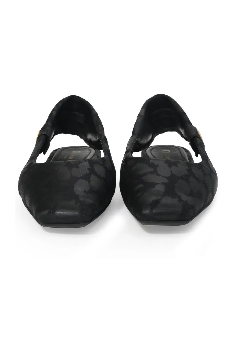 [WS8038] Christian Dior | Ballerina's
