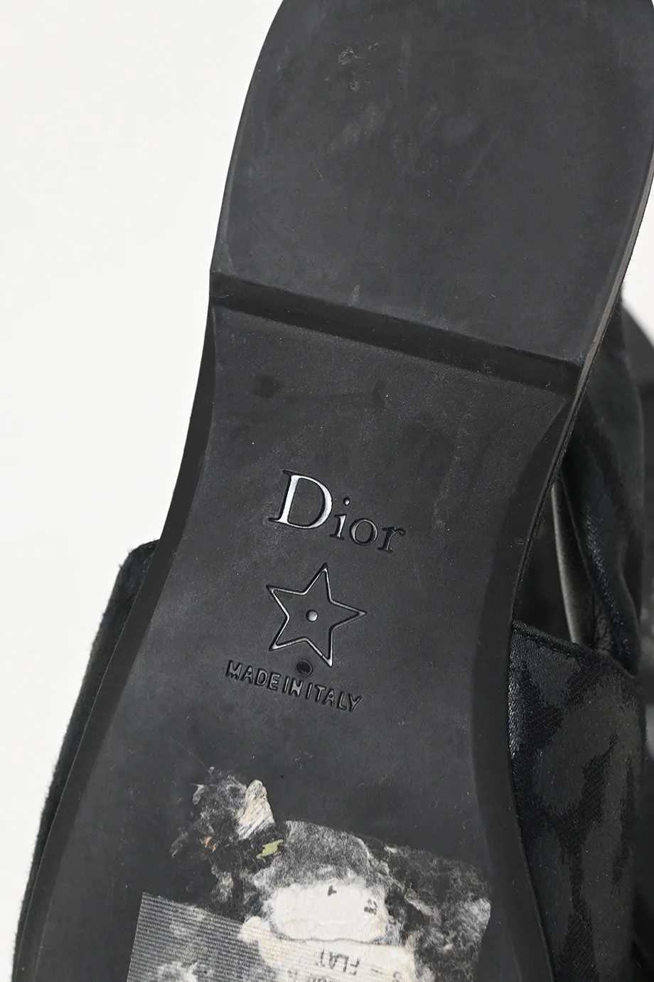 [WS8038] Christian Dior | Ballerina's